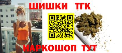 крисы Шелехов