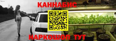 крисы Шелехов