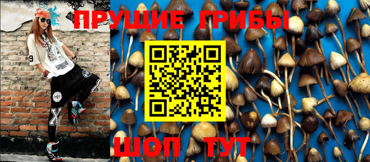 Галлюциногенные грибы мицелий Нерюнгри