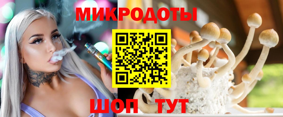 Псилоцибиновые грибы Psilocybine cubensis  Псилоцибиновые грибы мухоморы  Вход с VPN  Нерюнгри 